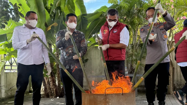 Narkotika Hasil Temuan 2025 Dimusnahkan Ditresnarkoba Malut