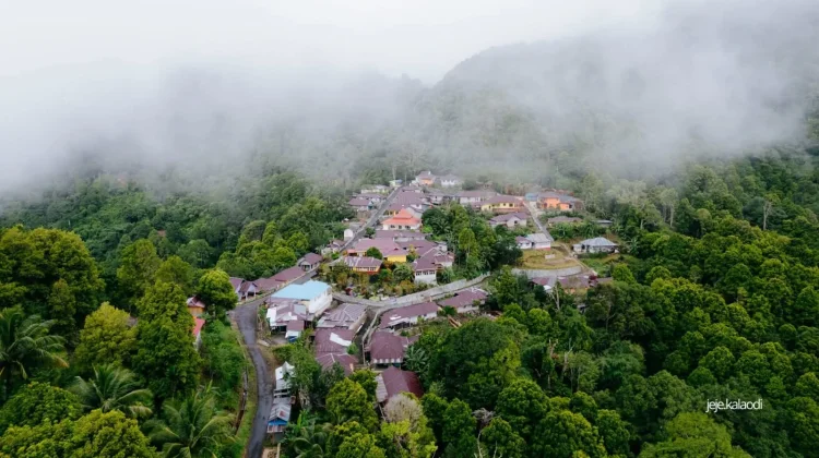 Kalaodi, Kampung Penjaga Hutan di Lereng Kie Matubu