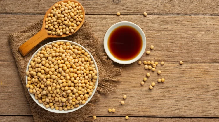 Mengenal Natto, Makanan Fermentasi yang Memiliki Ragam Manfaat