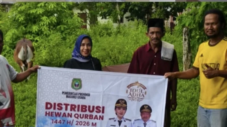 Wabup Halut Bersyukur atas Bantuan Hewan Kurban dari Gubernur