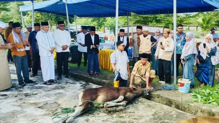 Wagub Sarbin Ajak Warga Teladani Pengorbanan Nabi Ibrahim di Iduladha