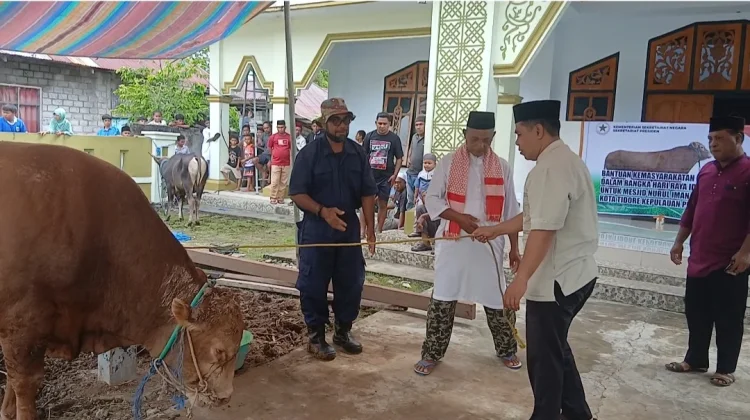 Bantuan Kurban Presiden Tiba di Tidore, Disalurkan ke Masjid Nurul Iman Rum