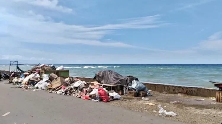 Kadis DLH Pastikan Tumpukan Sampah Dipasar Basanohi Diangkut Hari ini