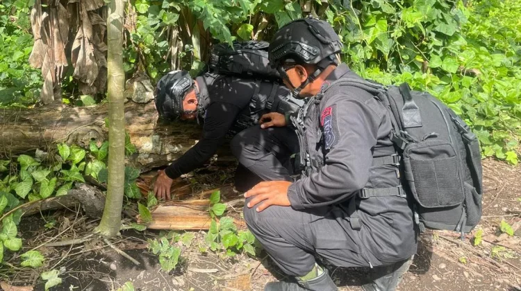 Bom Ranjau Darat Temuan Warga Halmahera Barat Dimusnahkan Brimob Malut