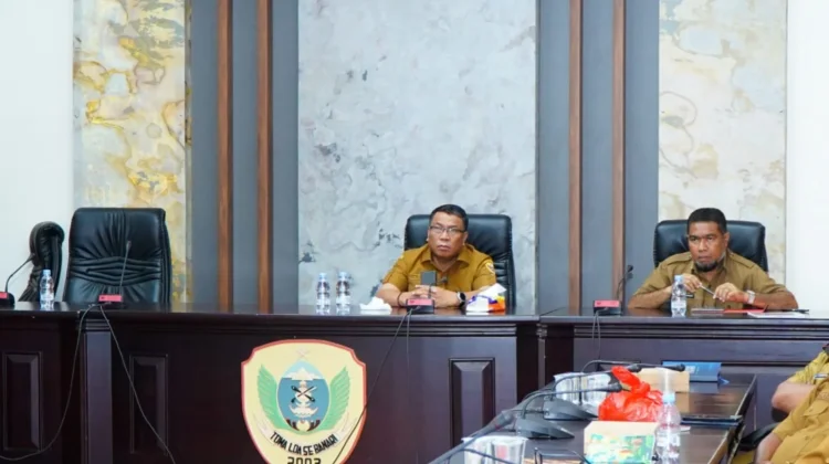 Hadiri RDP Komisi II DPR RI, Sekda  Soroti Regulasi Belanja Pegawai dan Nasib PPPK
