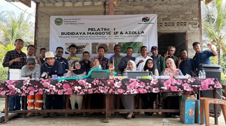 PT NKA Gelar Pelatihan Maggot di Haltim, Dorong Usaha Ramah Lingkungan Warga