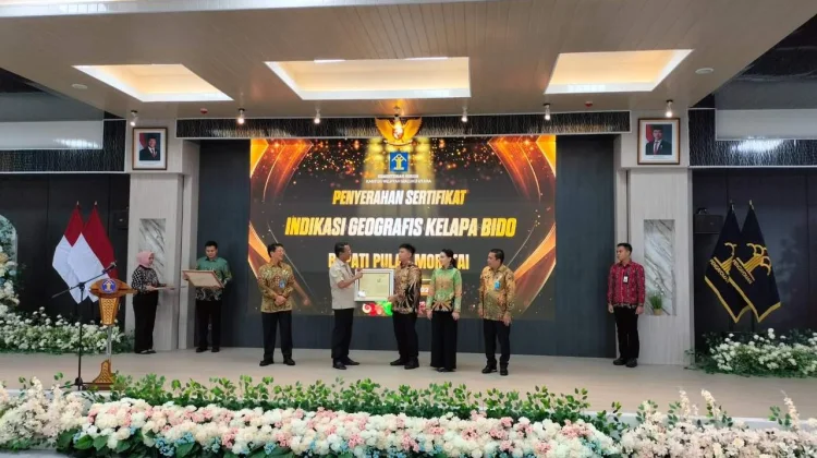 Kelapa Bido Morotai Resmi Kantongi Sertifikat Indikasi Geografis