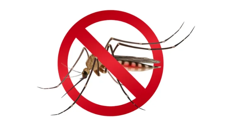 Peringatan Hari Demam Berdarah ASEAN, menuju Nol Kematian akibat Dengue