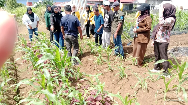 BNNP Malut Berdayakan Warga Jati lewat Pertanian Produktif