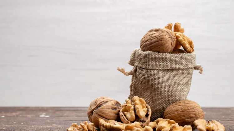 Kacang Kenari, Sumber Nutrisi dengan Beragam Manfaat Kesehatan