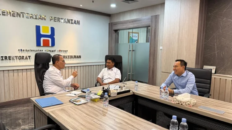 Haltim Usulkan Pabrik Kelapa, Kementan Minta Proposal Resmi