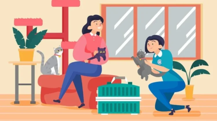 Rekomendasi Hewan Peliharaan di Rumah yang Minim Perawatan