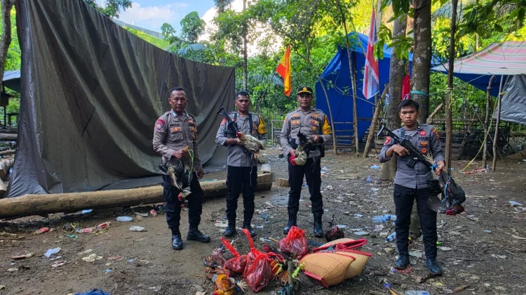 Polres Halteng Bubarkan Arena Judi Sabung Ayam