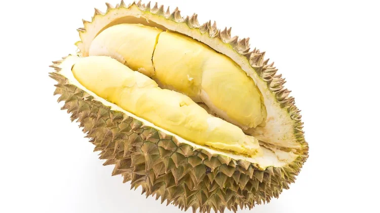 Benarkah Durian Mengandung Kolesterol Tinggi? Ini Faktanya