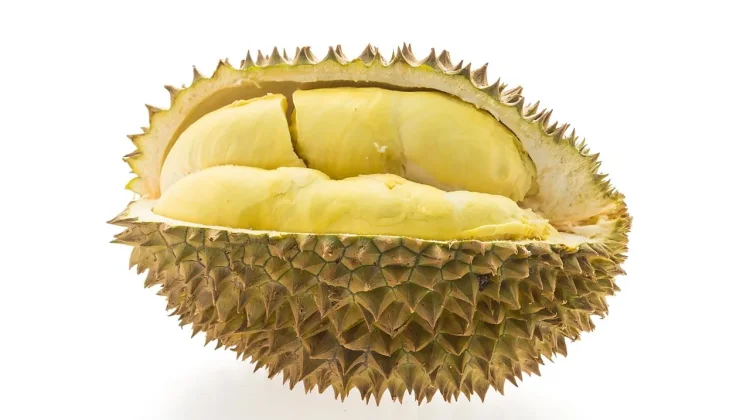 Mitos atau Fakta, Minum Air Kulit Durian Redakan "Panas"?