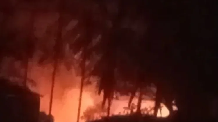 Kebakaran Terjadi di Area Penampungan Kayu PT SGM, Penyebab Masih Diselidiki