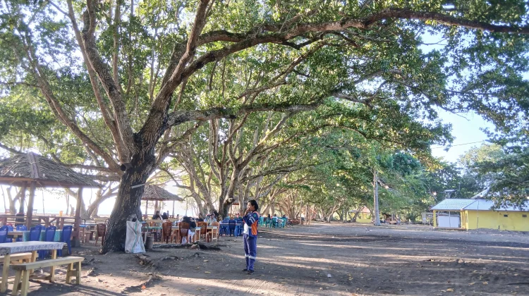 Menikmati Kesejukan dan Senja di Pantai Marimbati Halmahera Barat