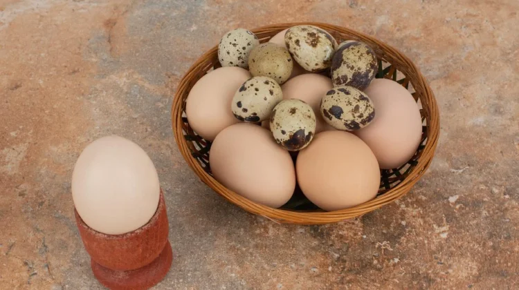 Telur Puyuh atau Telur Ayam, Mana yang Kandungan Kolesterolnya Lebih Tinggi?