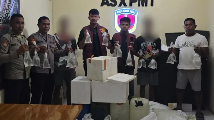 Polsek Ibu Gagalkan Pengiriman 960 Kantong Captikus ke Ternate