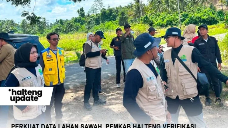 Verifikasi Lahan Baku Sawah Perkuat Ketahanan Pangan Kabupaten Halteng