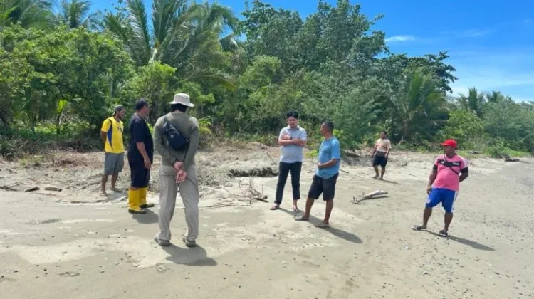 Berkas Kasus Tambang Batuan Pulau Obi Diduga Hilang di Polda Malut