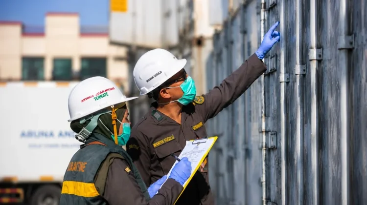 Setiap Pangan yang Aman Punya Cerita: Jejak Senyap Karantina Malut Menjaga Negeri