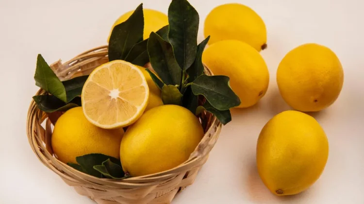 Mitos atau Fakta, Lemon Dapat Menurunkan Berat Badan?