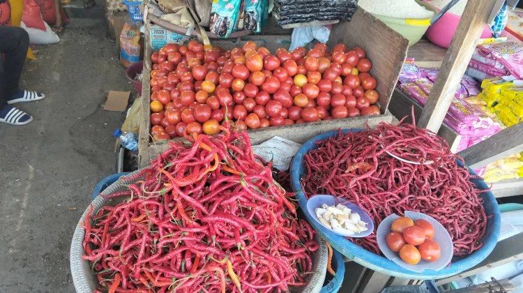 Harga Bapok di Kepulauan Sula Mulai Turun