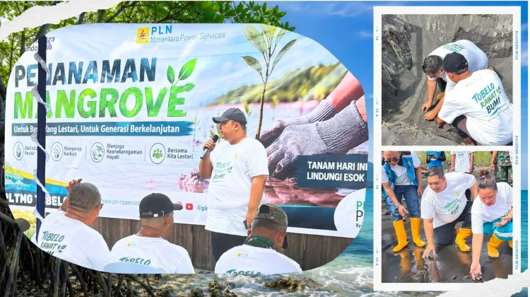PLN NPS PLTMG Tobelo dan UNIERA Lestarikan Pesisir Halmahera Utara