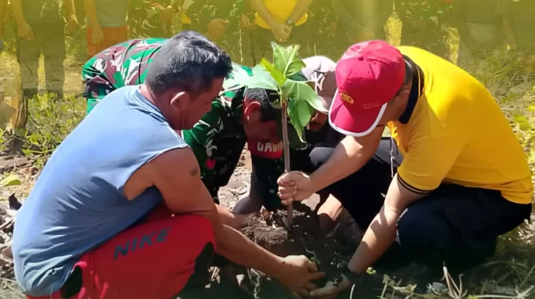 Koramil Wayabula Morotai Luncurkan Emas Hijau Gerakan 1 Juta Pohon Sukun