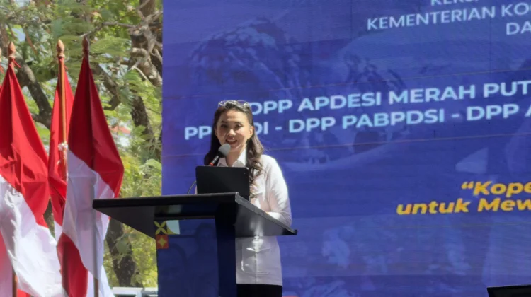 Gubernur Sherly Kejar 10 Ribu Hektare Sawah Demi Pangan Maluku Utara