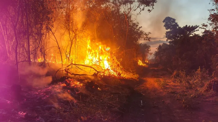 Kebakaran Perkebunan Warga Toboino Haltim Belum Berhasil Dipadamkan