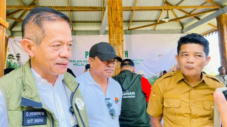 Kemenhut Dorong Aren Jadi Bahan Baku Bioetanol