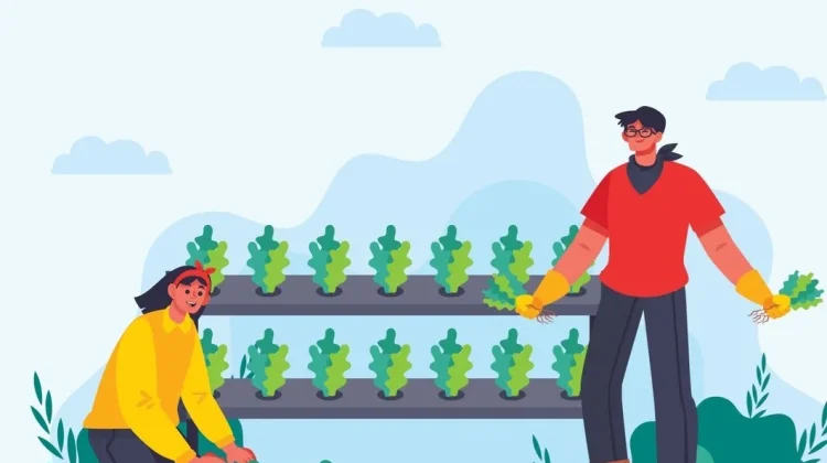Mengenal Istilah Urban Farming