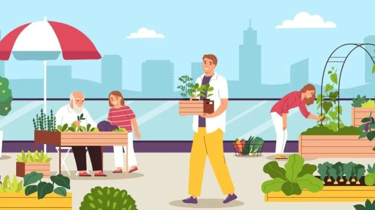Ketahui Berbagai Metode Urban Farming