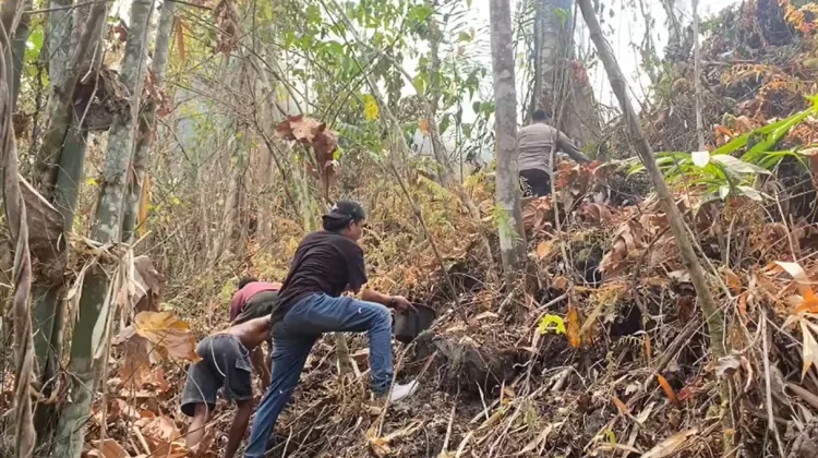 Kebakaran Lahan Tubo Meluas, Polisi Bersama Warga Padamkan Api