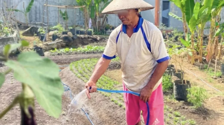 Rutan Ternate Sukses Optimalkan Lahan Produktif Dukung Ketahanan Pangan