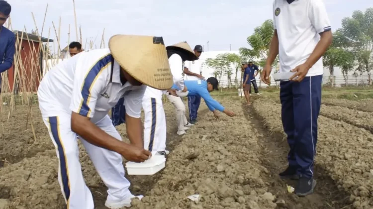 Lapas Sanana Tanam Buncis, Dorong Kemandirian Warga Binaan