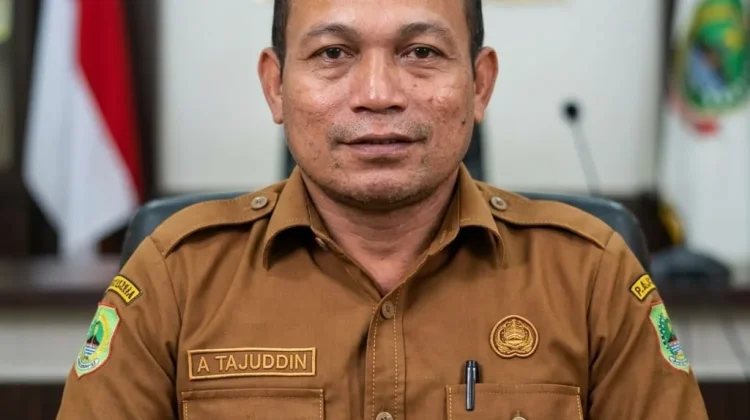 Tender APBD Induk Haltim Rampung, 140 Paket Capai 100 Persen