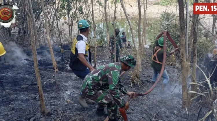 Personel Gabungan Berjibaku Padamkan Kebakaran Hutan di Maba