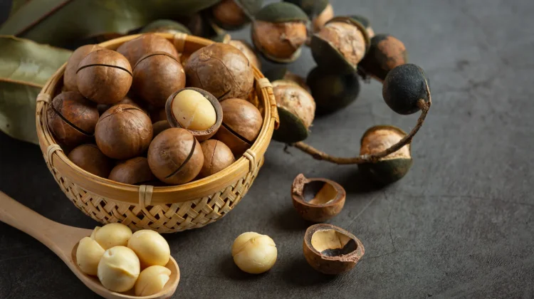 Mengenal Kacang Macadamia dan Manfaatnya Bagi Kesehatan