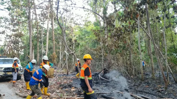 Pencegahan sejak Dini menjadi Langkah Penting Mitigasi Karhutla