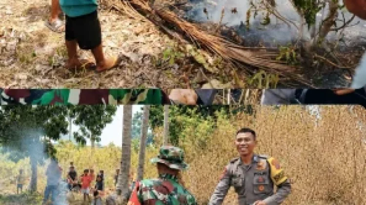 Gerak Cepat TNI-Polri Berhasil Jinakkan Kobaran Api di Morotai