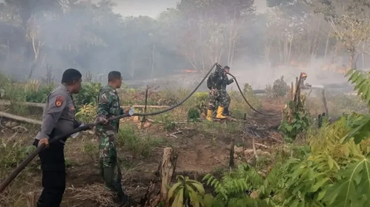 Sinergi TNI, Polri, Damkar, dan Warga Padamkan Karhutla di Maba