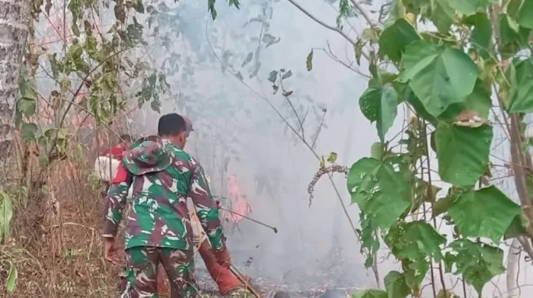 Babinsa dan Warga Berjibaku Padamkan Karhutla di Morotai