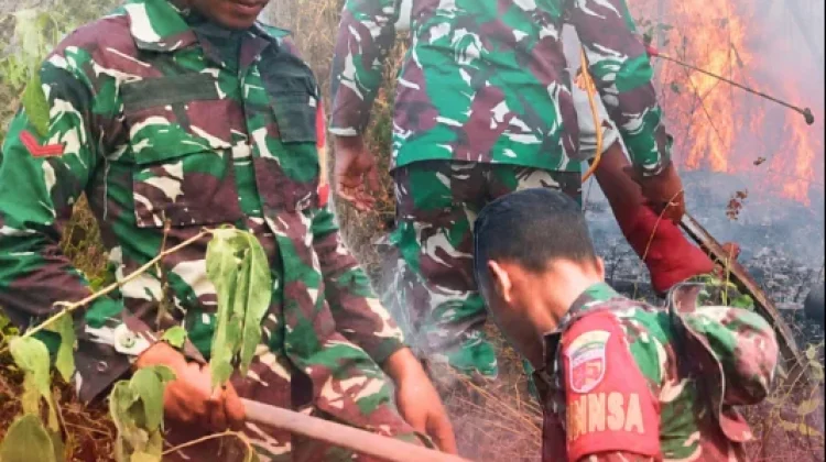 Babinsa dan Warga Padamkan Karhutla Lima Hektare di Morotai