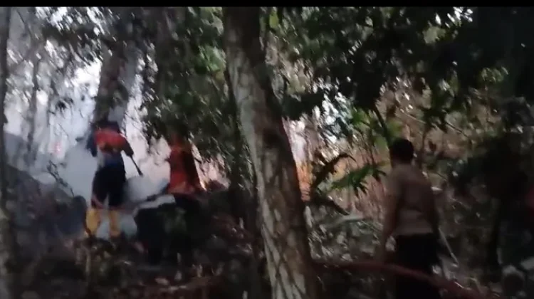 Dua Hari Berturut-turut, Kebakaran Lahan Terjadi di Tidore Kepulauan