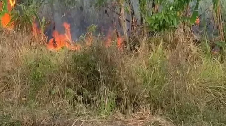 Kebakaran Lahan di Area BPMP Maluku Utara, 1 Hektar Kebun Warga Terbakar