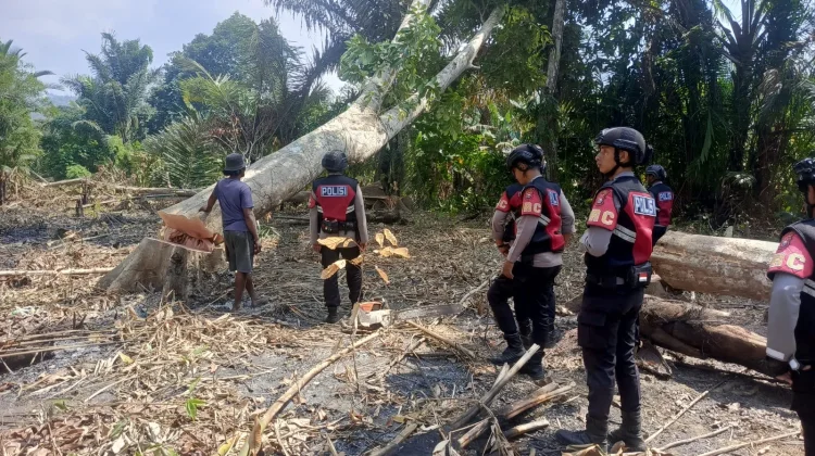 Petani Sula Diimbau Tak Bakar Hutan saat Buka Lahan