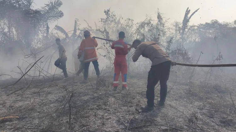 Polres Halmahera Selatan Hadir Terdepan Tangani Karhutla